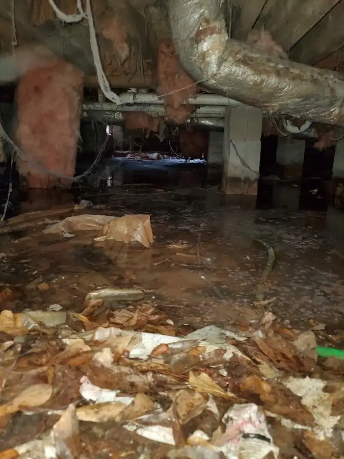 Crawl space flood assessment for Leak Detection & Repair in Shenango