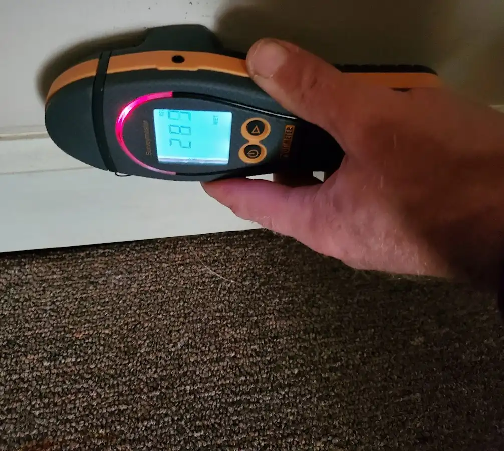 Moisture detection at baseboard during Sewage Cleanup & Sanitation in Shenango